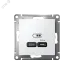 ATLASDESIGN USB РОЗЕТКА тип-C 65W высокоскор.заряд. QC, PD, механизм, БЕЛЫЙ