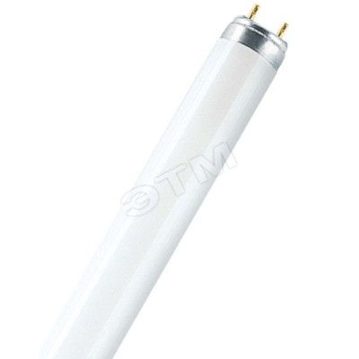 L 36W/840 25X1                     OSRAM