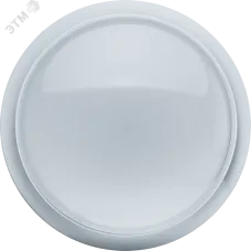 Светильник Navigator 95 842 NBL-P-24-6.5K-WH-SNR-LED