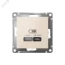 ATLASDESIGN USB РОЗЕТКА A + тип-C 45W высокоскор.заряд. QC,PD, механизм, БЕЖЕВЫЙ