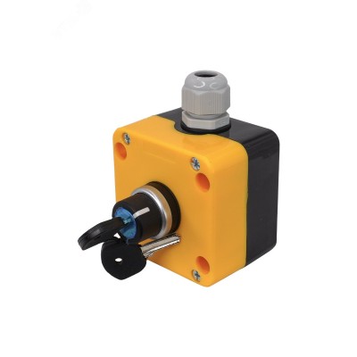 Пост управления ПКУ-22-1441-65У1, 1 переключатель на 2 положения с фиксацией с ключом (НО), IP65  (ЭТ)