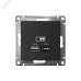 РОЗЕТКА USB ATLASDESIGN A+С, 5В/2,4А, 2х5В/1,2 А, механизм, КАРБОН
