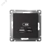 РОЗЕТКА USB ATLASDESIGN A+С, 5В/2,4А, 2х5В/1,2 А, механизм, КАРБОН