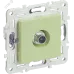SKANDY Розетка TV оконечная SK-A12G мятный IEK