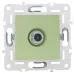 SKANDY Розетка TV оконечная SK-A12G мятный IEK