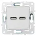 SKANDY Розетка USB A+A 3,1А SK-R15W арктический белый IEK