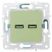 SKANDY Розетка USB A+A 3,1А SK-R15G мятный IEK