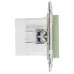 SKANDY Розетка USB A+A 3,1А SK-R15G мятный IEK