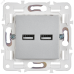 SKANDY Розетка USB A+A 3,1А SK-R15S серебряный IEK