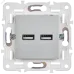 SKANDY Розетка USB A+A 3,1А SK-R15S серебряный IEK