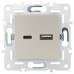 SKANDY Розетка USB A+C 18Вт SK-R13Sh шампань IEK