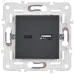 SKANDY Розетка USB A+C 18Вт SK-R13T титан IEK