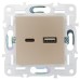 SKANDY Розетка USB A+C 3,1А SK-R14Sh шампань IEK