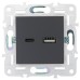 SKANDY Розетка USB A+C 3,1А SK-R14T титан IEK