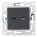 SKANDY Розетка USB A+C 3,1А SK-R14T титан IEK