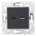 SKANDY Розетка USB A+C 3,1А SK-R14G графит IEK