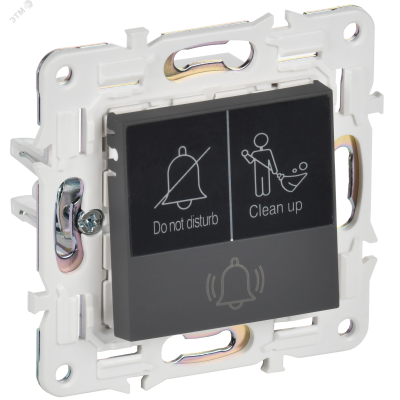 SKANDY Кнопка звонка с индикацией для отелей 10А SK-V17G графит IEK
