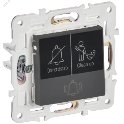 SKANDY Кнопка звонка с индикацией для отелей 10А SK-V17G графит IEK
