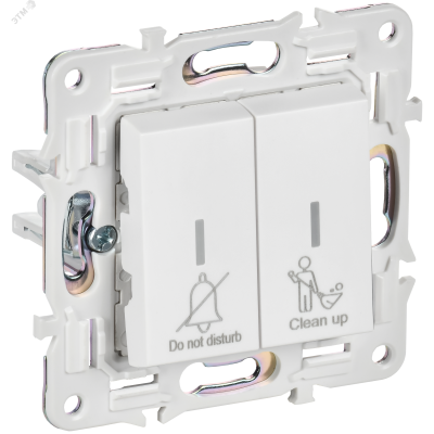 SKANDY Выключатель 2-клавишный с индикацией для отелей 10А SK-V16W арктический белый IEK