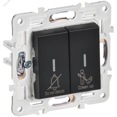 SKANDY Выключатель 2-клавишный с индикацией для отелей 10А SK-V16Bl черный IEK