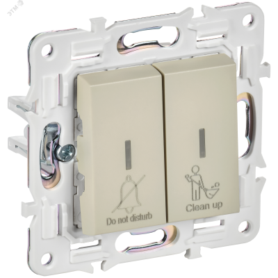 SKANDY Выключатель 2-клавишный с индикацией для отелей 10А SK-V16B бежевый IEK