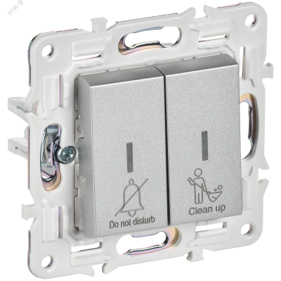 SKANDY Выключатель 2-клавишный с индикацией для отелей 10А SK-V16S серебряный IEK