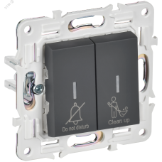 SKANDY Выключатель 2-клавишный с индикацией для отелей 10А SK-V16G графит IEK