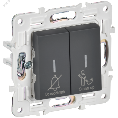 SKANDY Выключатель 2-клавишный с индикацией для отелей 10А SK-V16G графит IEK