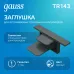Заглушка Gauss для встраиваемого трекового шинопровода черный 1/100