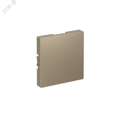 ЗАГЛУШКА ATLASDESIGN, ШАМПАНЬ