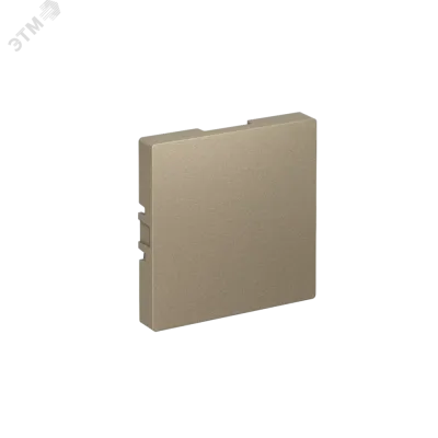 ЗАГЛУШКА ATLASDESIGN, ШАМПАНЬ