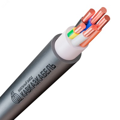 ВВГнг(А)-ХЛ 5х25мк(N,PE)-1