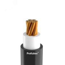 Кабель ППГнг(А)-HF 1*50 мк-0,66 ГОСТ 31996-2012