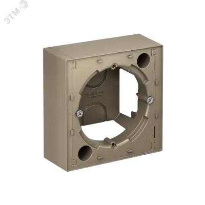 Коробка ATLASDESIGN для наружного монтажа шампань